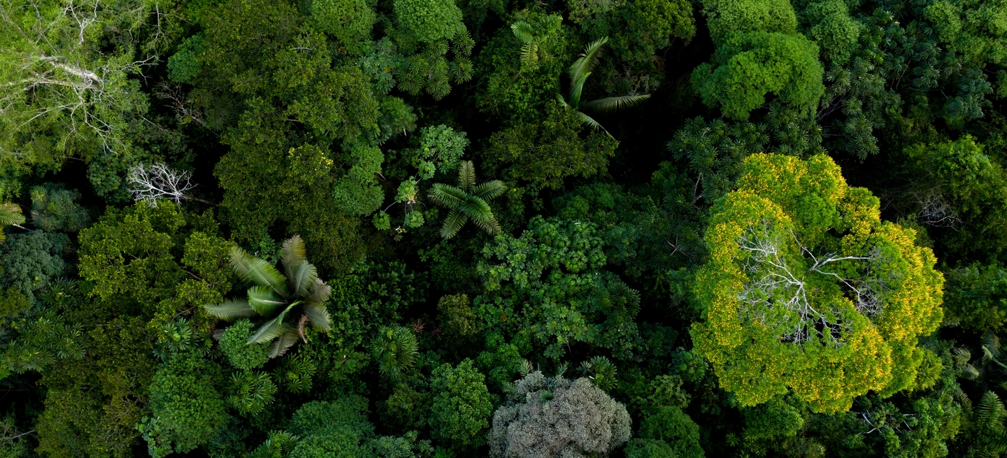 service_background
