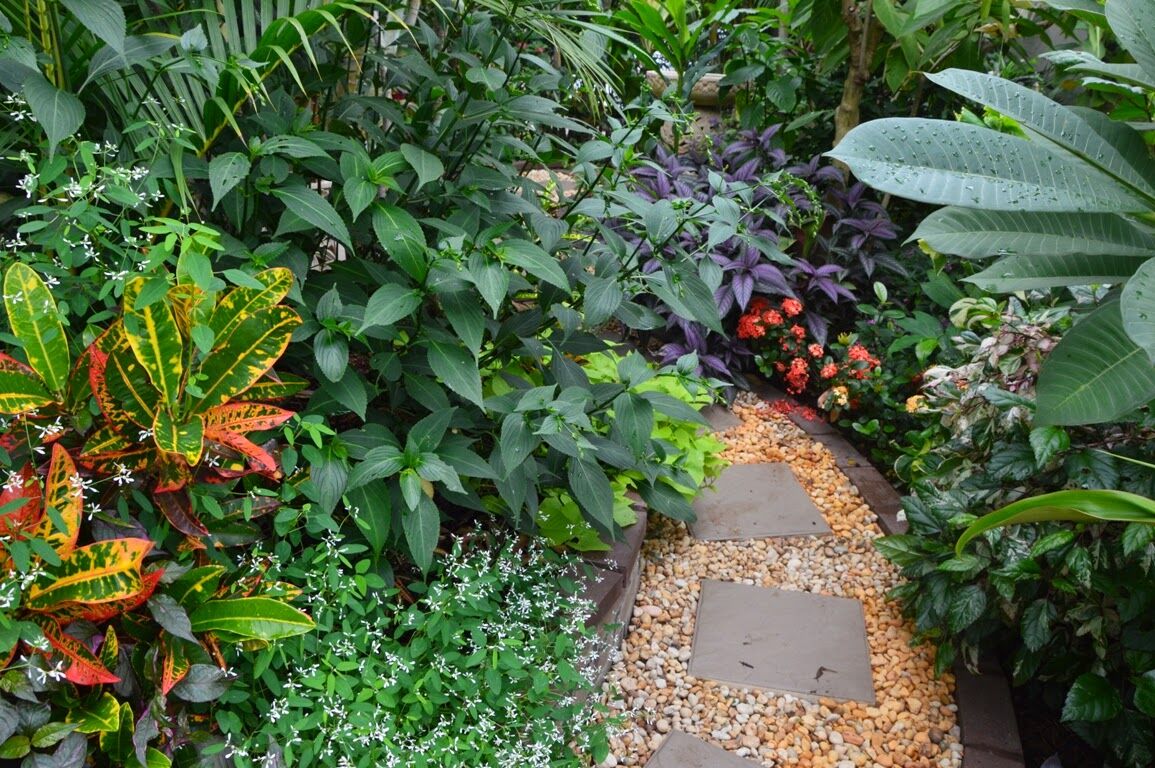 Tropical gardens