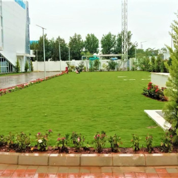 Commercial Image
