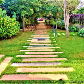 Resort Image