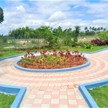 Park Image