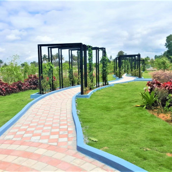 Park Image