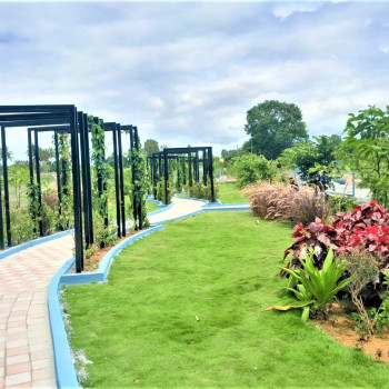 Park Image