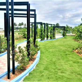 Park Image