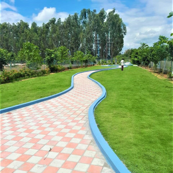Park Image
